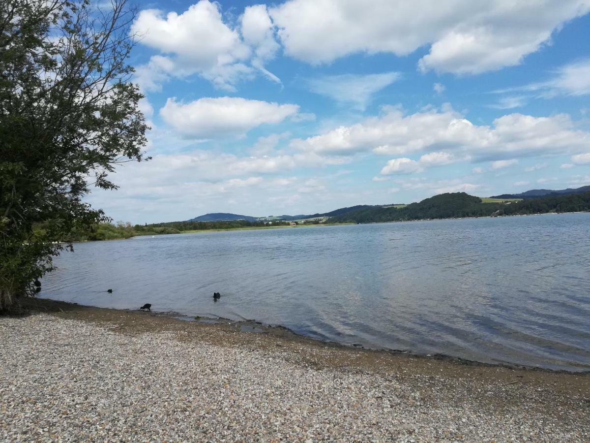 Am See 90 Seekirchen am Wallersee Eksteriør billede